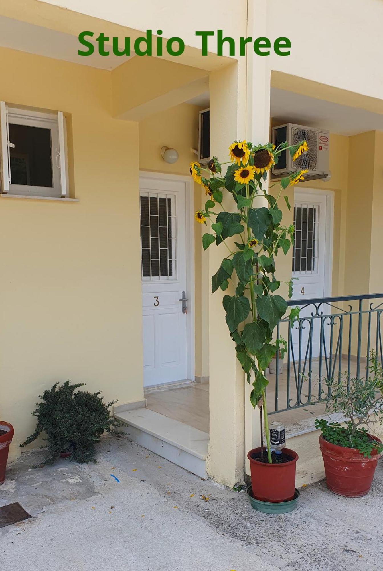 Kivotos Villa Studios Rodas Exterior foto
